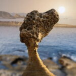 Private Full-Day Northern Taiwan Tour by Car from Taipei - The Value of This Private Tour