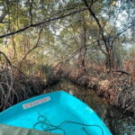 Private Galle Day Tour with River Safari, Stilt fishing & Turtles - Detailed Breakdown of the Itinerary