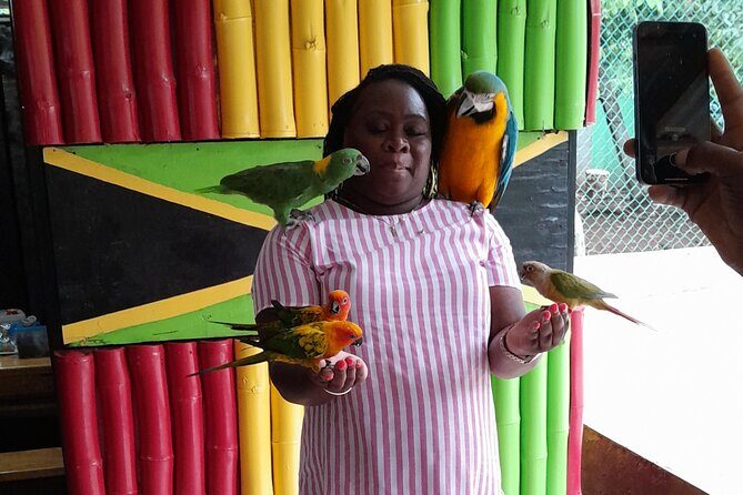 Private Gibbons Tour Outpost Experience - Who Is This Tour Best Suited For?  