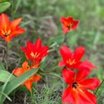 Private Guided Alamedin Gorge Tour - Who Should Book This Tour?