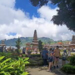 Private Guided Bali Car Charter - Who Will Love This Tour?