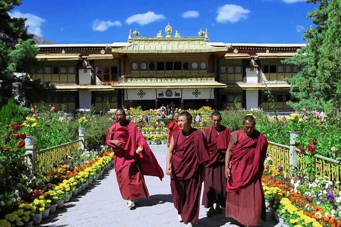 Private Guided Dharamshala Tour with Scenic Views & Lunch - A Deep Dive into the Itinerary and Experience