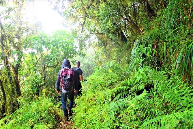 Private Guided Hiking Tour to the Blue Mountains - What to Expect from the Tour