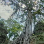 Private Guided Tours From Angkor Wat Sunrise To Banteay Srei - Why This Tour Offers Great Value