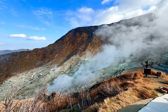 Private Hakone Rail Adventure - Practical Considerations