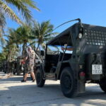 Private Half Day Jeep Tour in Son Tra Peninsula - Who Will Love This Tour?