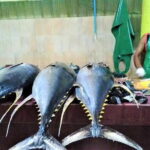 Private Half-Day Local Experience of MaléEnglish/ - Who Is This Tour Best For?