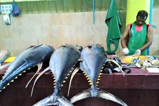 Private Half-Day Local Experience of MaléEnglish/ - Who Is This Tour Best For?