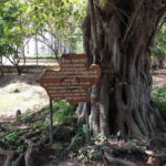 Private Half Day to Killing Field and S21 Genocidal Museum - Why This Tour Offers Great Value