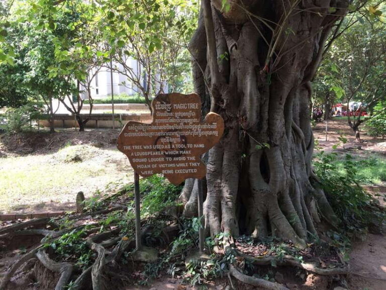 Private Half Day to Killing Field and S21 Genocidal Museum - Why This Tour Offers Great Value