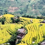 Private Half-Day Tour of Villages, Terrace Rice Fields by Car - What to Expect from the Experience