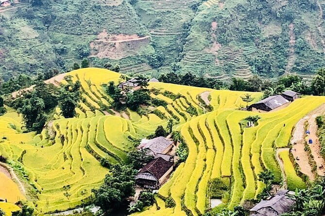 Private Half-Day Tour of Villages, Terrace Rice Fields by Car - What to Expect from the Experience