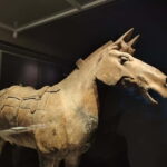 Private Half-Day Tour of Xi'an Terracotta Warriors - Why Choose This Tour?