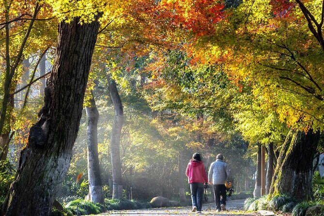 Private Hangzhou Car and Walking Tour - Exploring the Itinerary in Detail