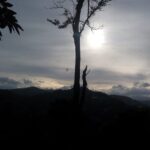 Private Hiking Adventure to the Little Adams Peak And Nine Arches Bridge. - Who Should Consider This Tour?