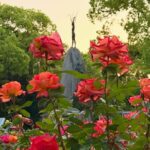 Private Hiroshima Tour in Spanish: History, excitement, and a local guide - A Closer Look at the Hiroshima Tour Experience