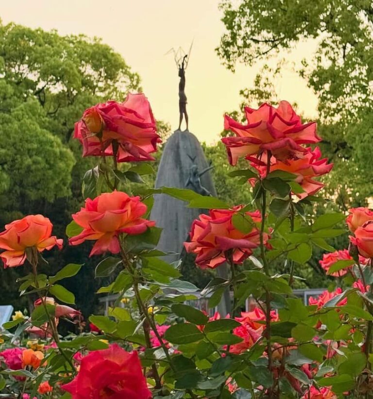 Private Hiroshima Tour in Spanish: History, excitement, and a local guide - A Closer Look at the Hiroshima Tour Experience