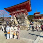 Private Japan Osaka 10 Days Experience - Who Should Consider This Tour?