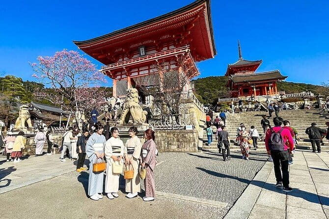 Private Japan Osaka 10 Days Experience - Who Should Consider This Tour?