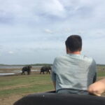 Private Jeep Safari at Minneriya National Park - The Itinerary Breakdown