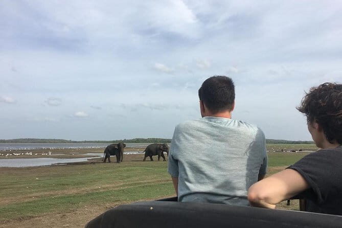 Private Jeep Safari at Minneriya National Park - The Itinerary Breakdown