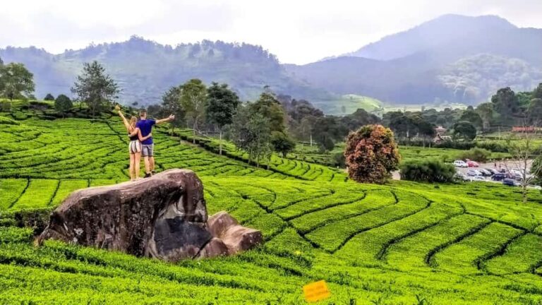 Private: Kawah Putih,Volcano,HotSpring,Mud Bathing,Lake Tour - Exploring Kawah Putih: A Surreal Sight