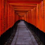 Private Kyoto & Nara Day Tour with English Driver GuideBEST - A Deep Dive into the Tour Experience