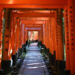 Private Kyoto Tour by Car with Optional Nara or Osaka Add-Ons - Itinerary Breakdown: What You Can Expect to See