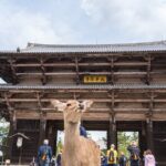 Private Kyoto Tour by Car with Optional Nara or Osaka Add-Ons - The Experience: Comfort, Flexibility, and Local Insights