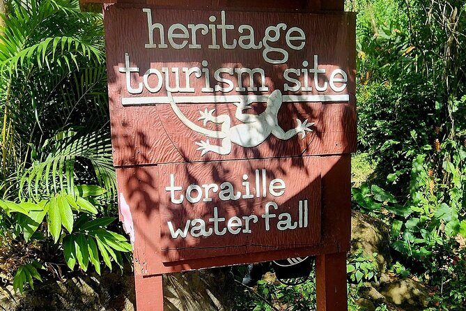 Private La Soufriere Drive-In Volcano Minibus Tour St Lucia - What to Expect During the Tour