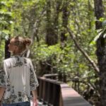 Private Luxury Cape Tribulation Adventure and Crocodile Cruise - Cape Tribulation: Where Rainforest Meets the Reef