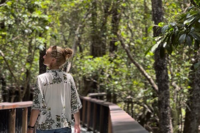 Private Luxury Cape Tribulation Adventure and Crocodile Cruise - Cape Tribulation: Where Rainforest Meets the Reef