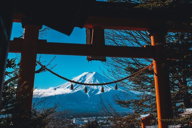 Private Mount Fuji Tour: Scenic Views, Lakes & Local Culture - Who Should Consider This Tour?