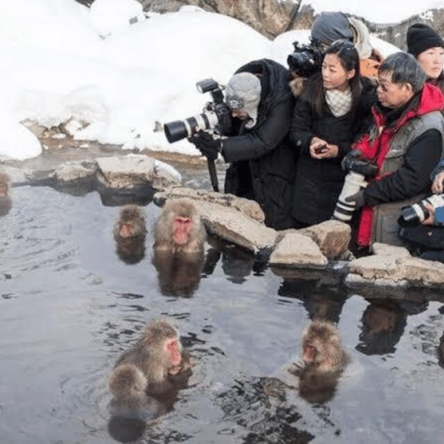 Private Nagano Day Trip: Snow Monkeys & Historic Temples - Why This Tour Offers Real Value