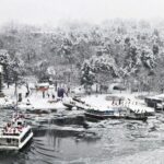 Private Nami Island, Elysian Ski and garden of morning calm Tour - Detailed Breakdown of the Itinerary