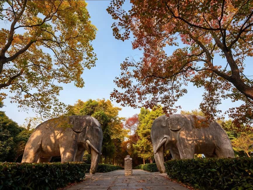 Private Nanjing Day Tour from Shanghai by Bullet Train - FAQ