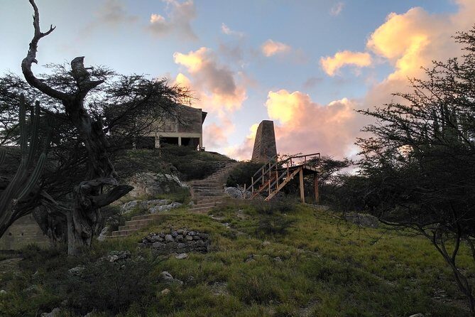 Private nature tour: Aruban mangrove forest & pristine coral reef - Frequently Asked Questions