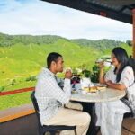 Private Nature Trip to Cameron Highlands from Kuala Lumpur - The Itinerary Breakdown: What to Expect