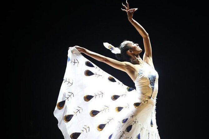 Private Night Tour to Enjoy Dynamic Yunnan Show - A Closer Look at the Itinerary