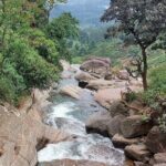 Private Nuwara Eliya City Tour Including Main Attractions - Practical Details and Why They Matter