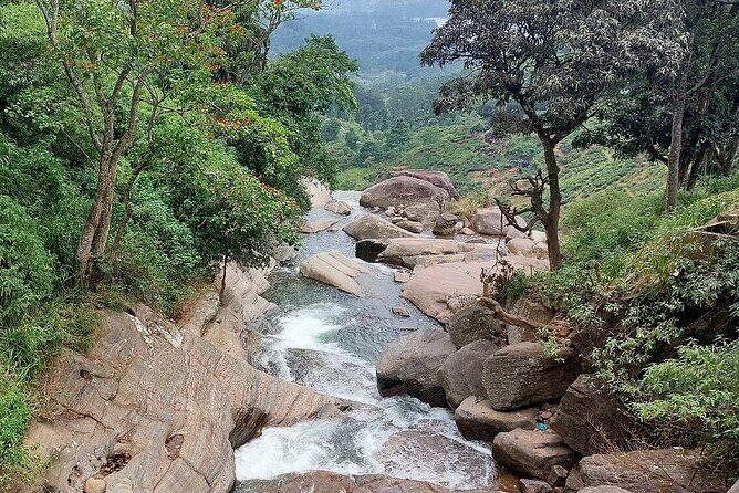 Private Nuwara Eliya City Tour Including Main Attractions - Practical Details and Why They Matter