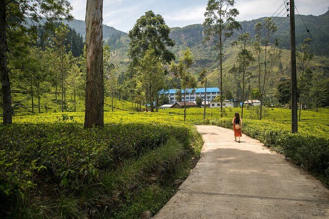 Private Nuwara Eliya Day Trip from Colombo  All Inclusive - Final Thoughts