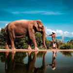 Private Photoshoot in Koh Samui for Couples & Families - What Makes This Photoshoot Stand Out?