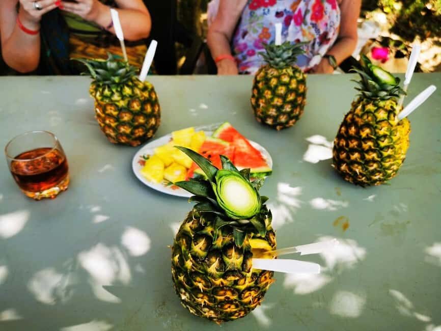 Private Puerto Plata Food Tour and Beach Chillout - Who Will Love This Tour?