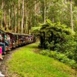 Private Puffing Billy Steam Train and Healesville Sanctuary Tours - Practical Details: Timing and Group Size