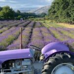 Private Queenstown and Wanaka City Day Tour - Who Will Love This Tour?