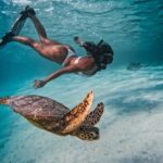 Private Rarotonga Turtle Tour - Why Travelers Love This Tour