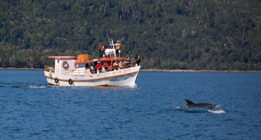Private: Samana: Bay of Samaná Whale Watching Experience - Practical Details That Matter
