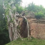 Private Sambor Prei Kuk Temple Tour - Exploring the Sambor Prei Kuk Tour in Detail