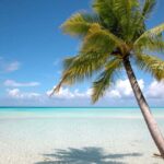 Private: Saona Island Full-Day Escape with Meals & Beverages - The Itinerary in Detail: What to Expect